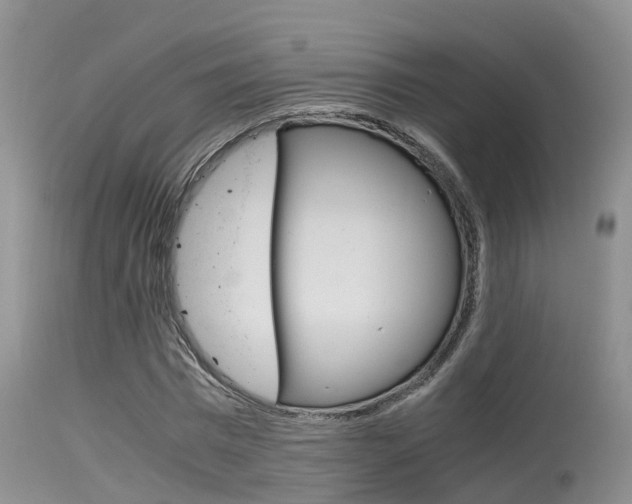 X0000115480777200911061024