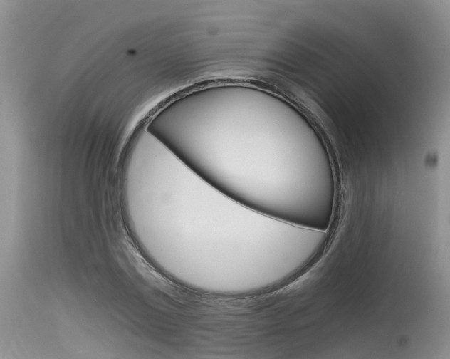 X0000115480779200911061024