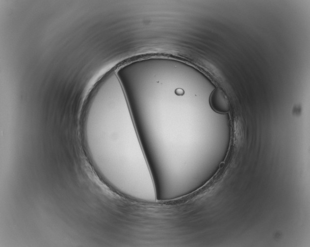 X0000115480780200911061024