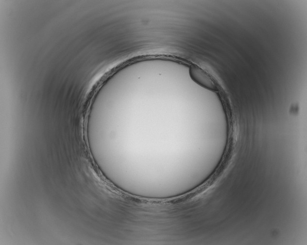 X0000115480781200911061024