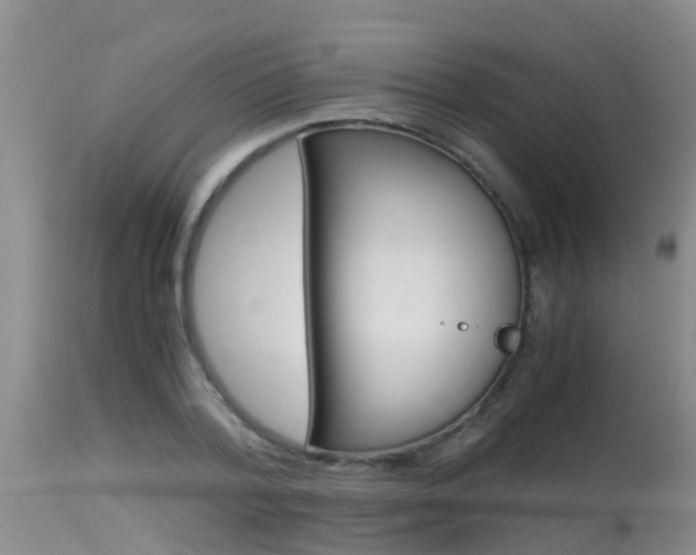 X0000115480788200911061024