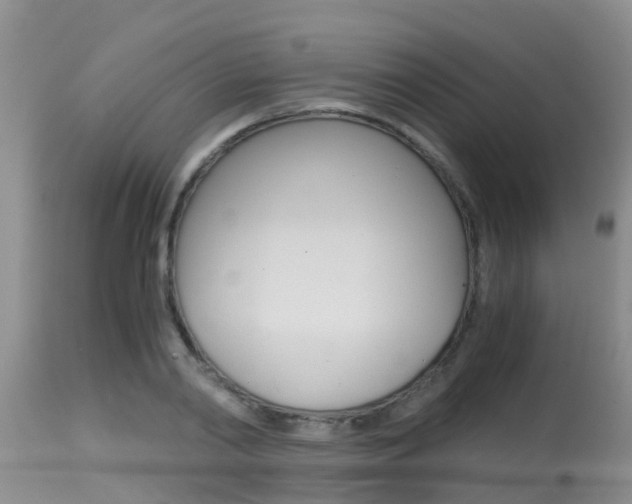 X0000115480790200911061024