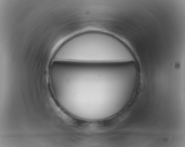 X0000115480791200911061024