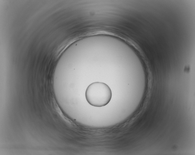X0000115480793200911061024