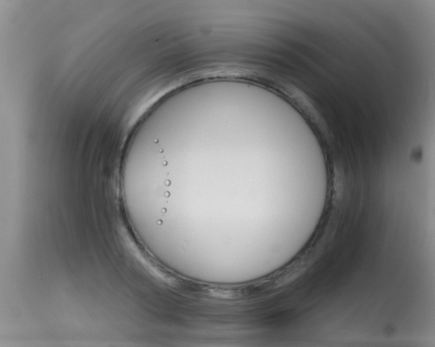 X0000115480794200911061024
