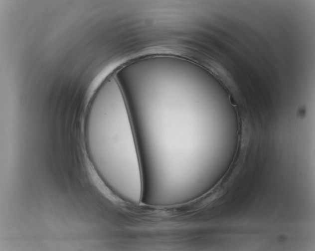 X0000115480796200911061024