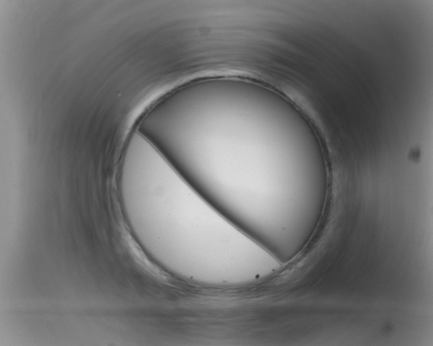 X0000115480797200911061024