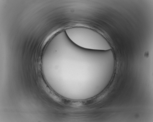 X0000115480798200911061024