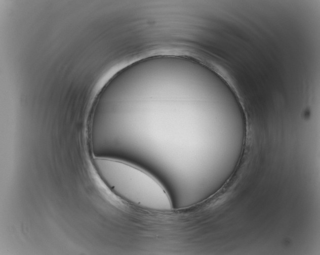 X0000115480803200911061023