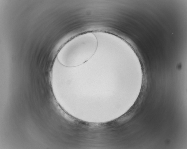 X0000115480807200911061023