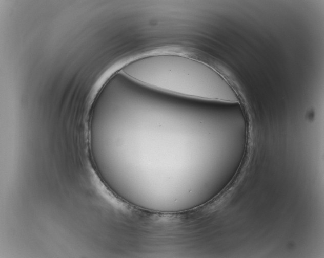 X0000115480808200911061023