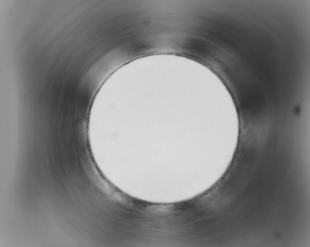 X0000115480810200911061023