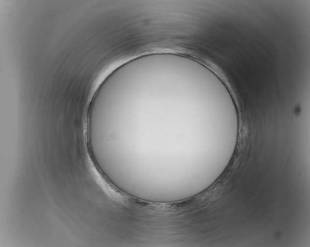 X0000115480811200911061023