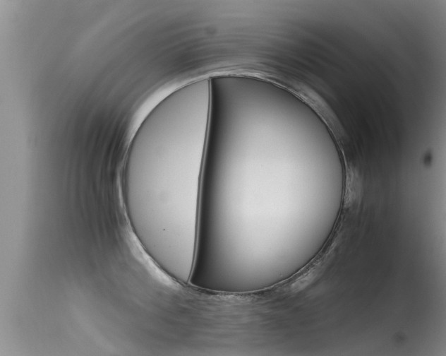 X0000115480812200911061023