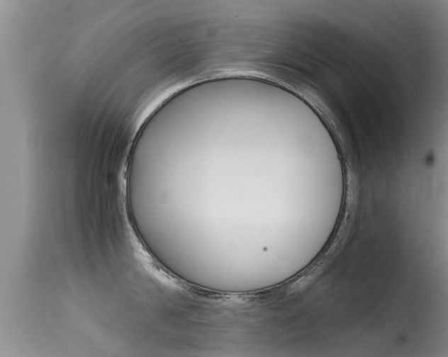 X0000115480814200911061023