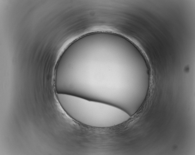 X0000115480815200911061023