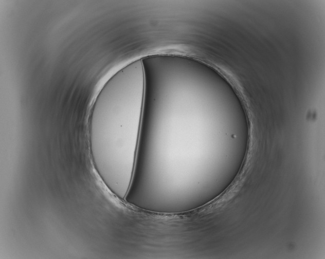 X0000115480816200911061023