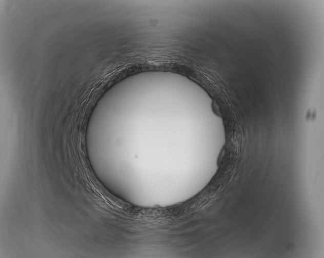X0000115480817200911061023