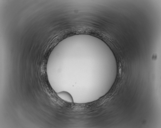 X0000115480819200911061023