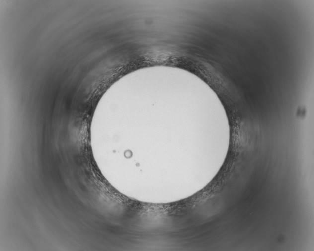 X0000115480820200911061023