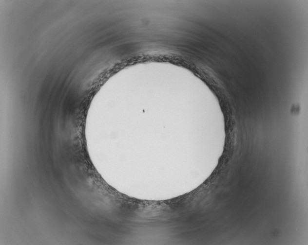 X0000115480824200911061023
