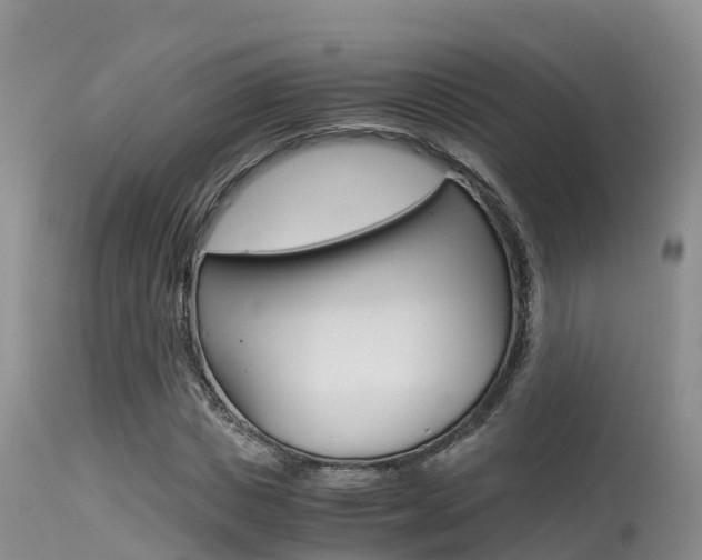 X0000115480825200911061023