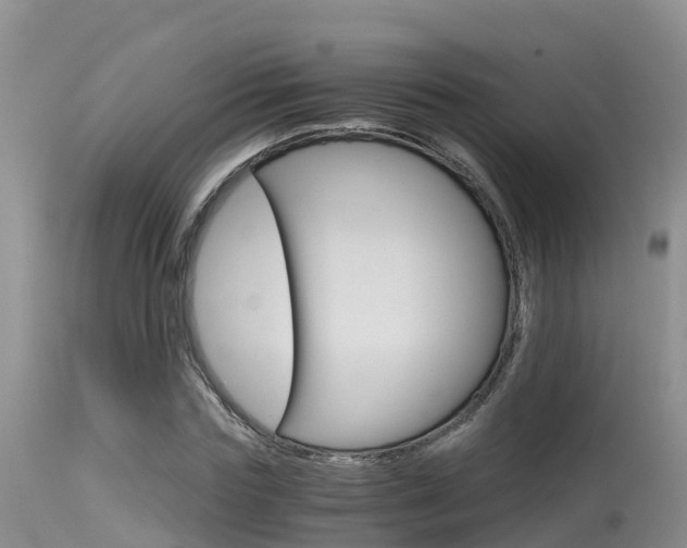 X0000115480827200911061023