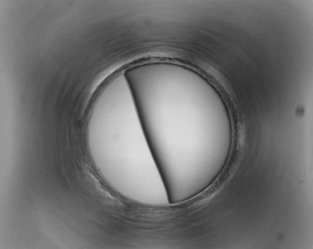 X0000115480829200911061023
