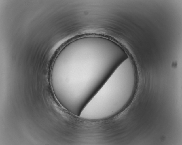 X0000115480830200911061023