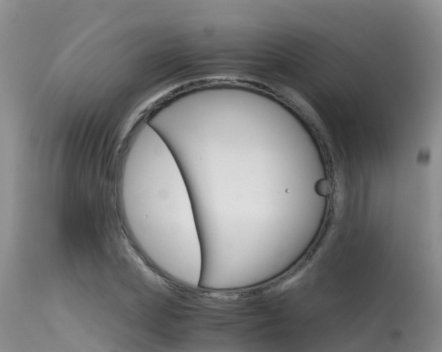 X0000115480831200911061023