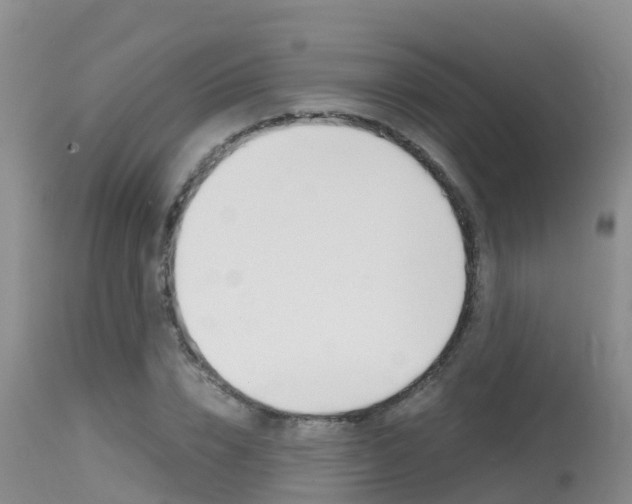 X0000115480832200911061023
