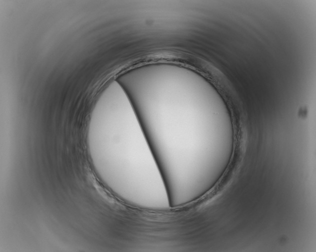 X0000115480833200911061023