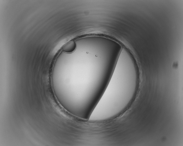 X0000115480834200911061023