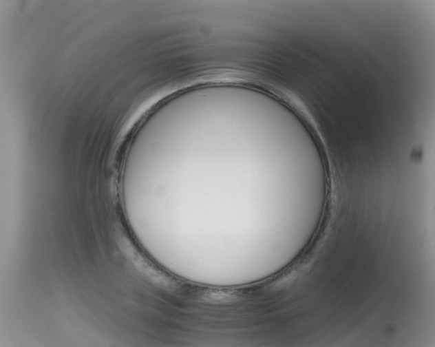 X0000115480835200911061023