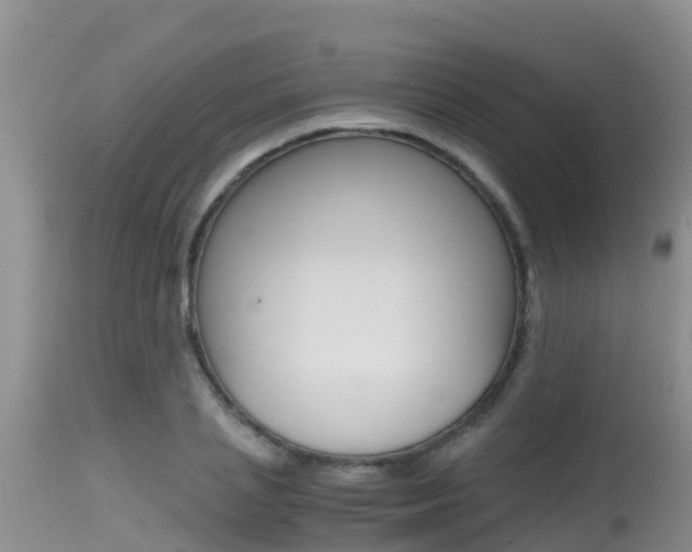 X0000115480837200911061023
