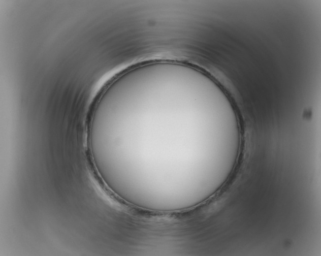 X0000115480838200911061023