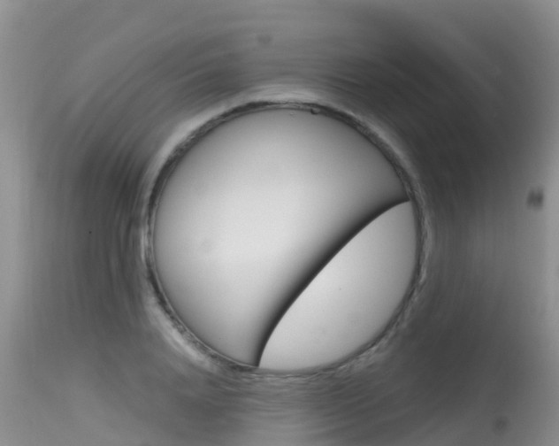 X0000115480840200911061023
