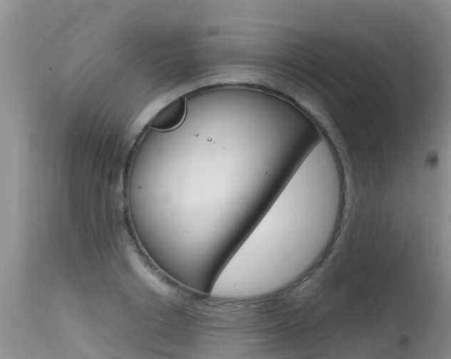 X0000115480842200911061023