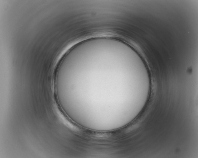X0000115480843200911061023