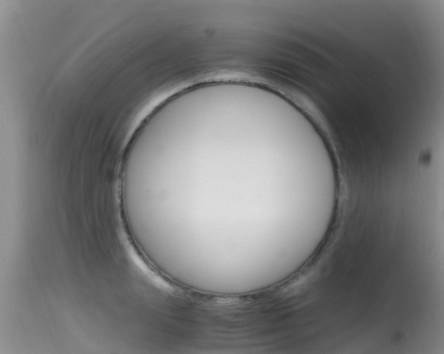 X0000115480847200911061023
