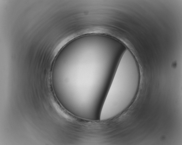 X0000115480850200911061023