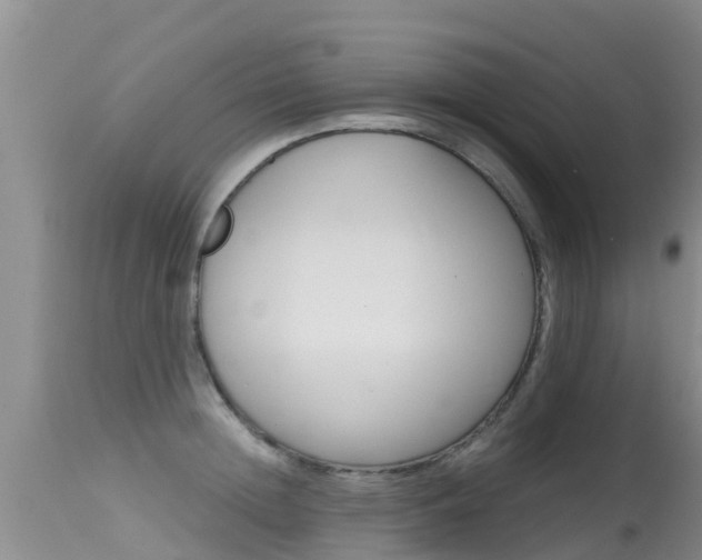 X0000115480852200911061023