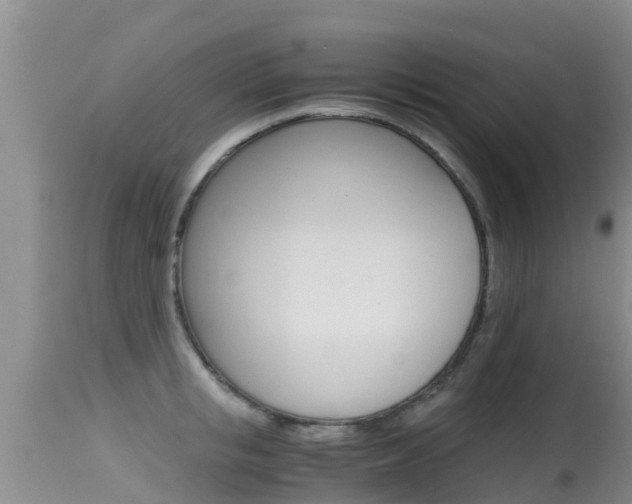 X0000115480853200911061023