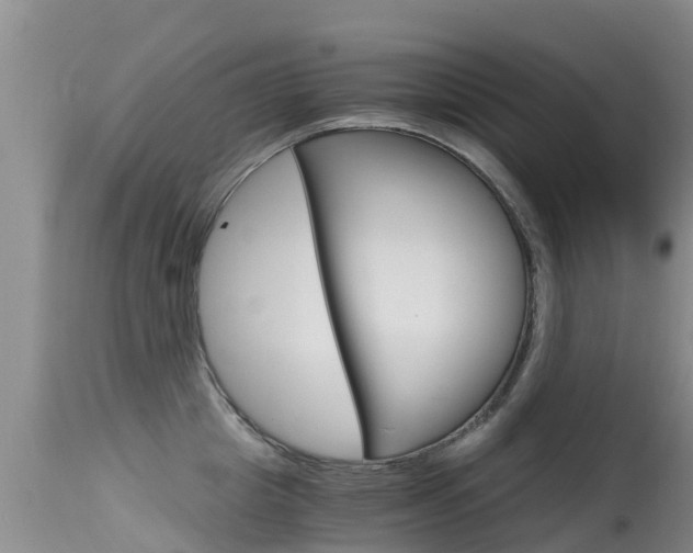 X0000115480857200911061023