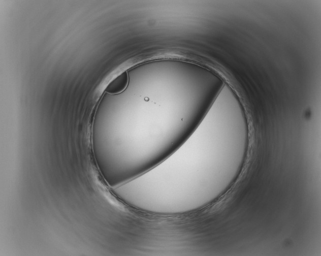 X0000115480858200911061023