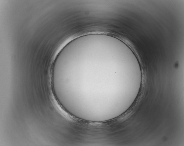 X0000115480859200911061023