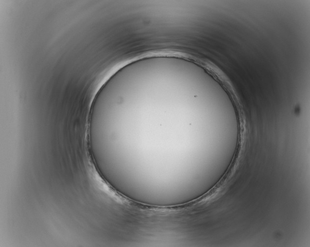 X0000115480860200911061023