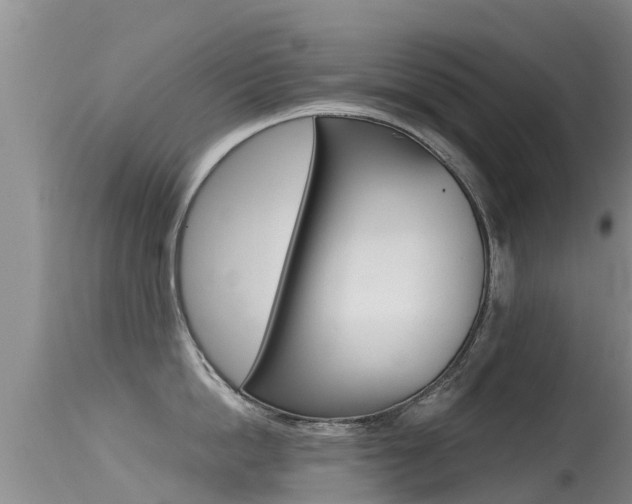 X0000115480862200911061023