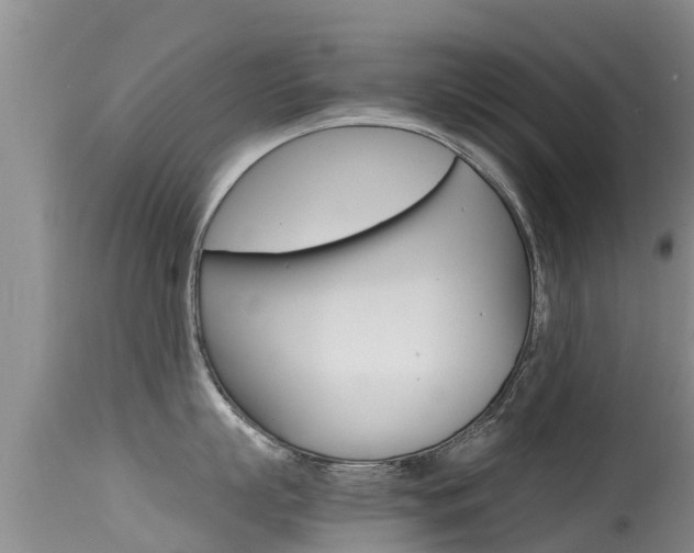 X0000115480863200911061023