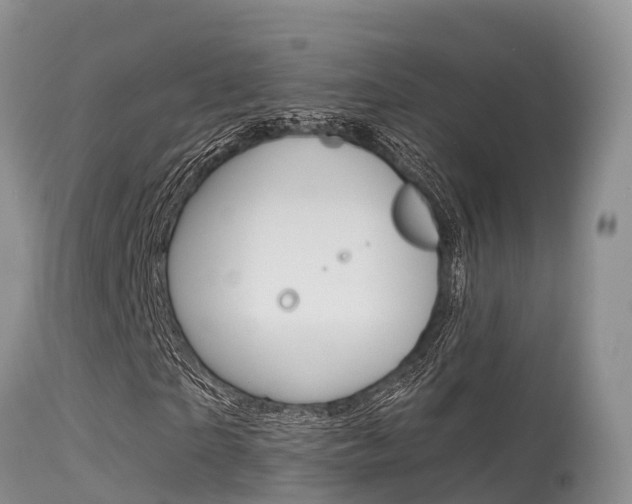 X0000115480865200911061023